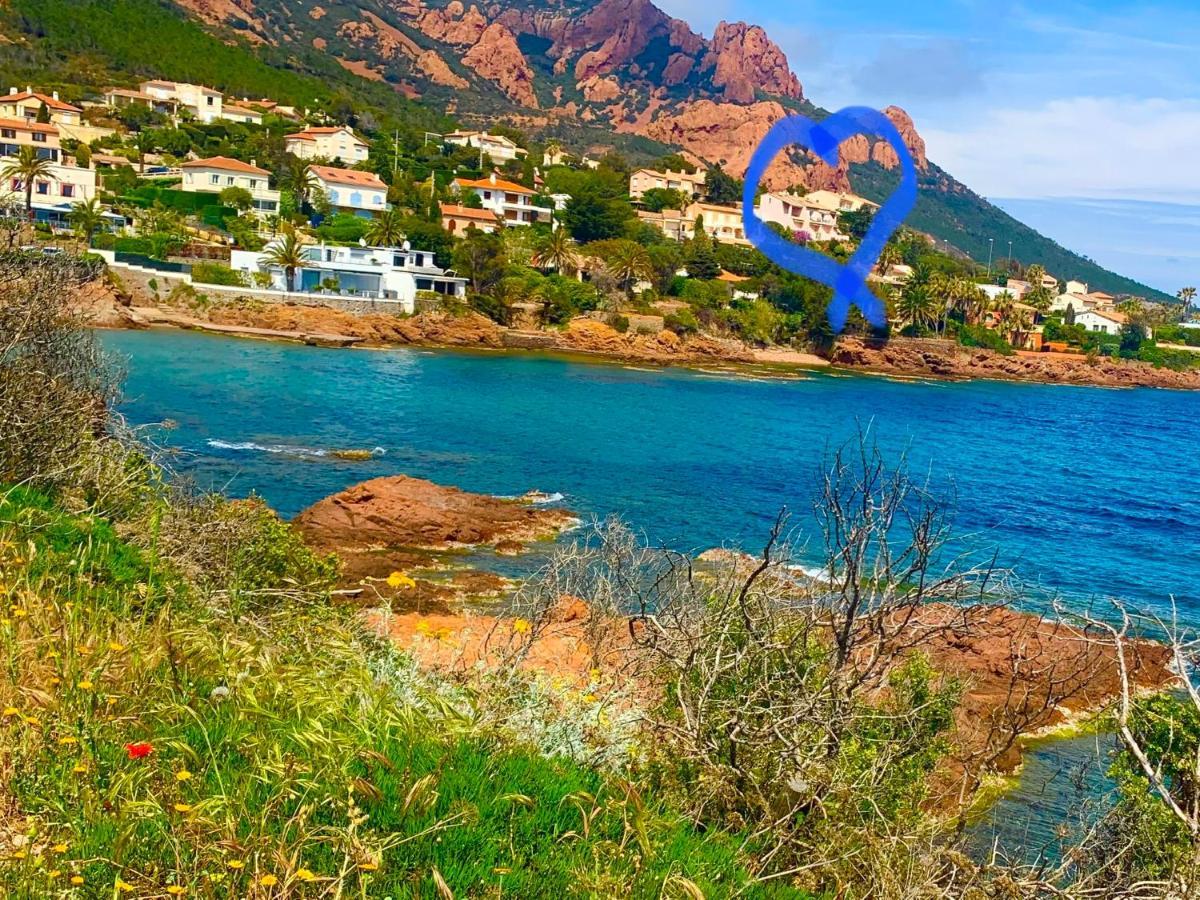 La Belle Vue-Charming Duplex Apartment With Sea View, 50 Meters From Beach And Private Parking Saint-Raphaël Dış mekan fotoğraf