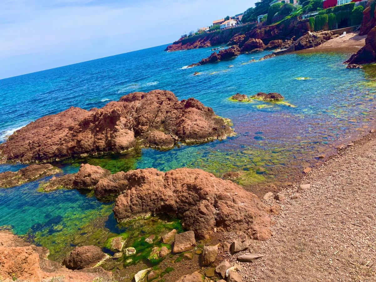 La Belle Vue-Charming Duplex Apartment With Sea View, 50 Meters From Beach And Private Parking Saint-Raphaël Dış mekan fotoğraf